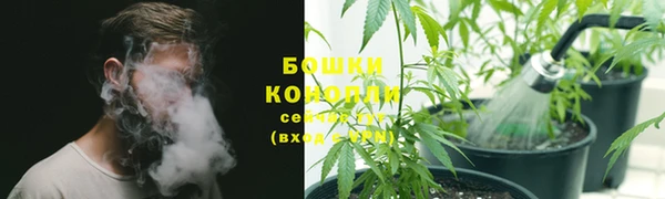 метамфетамин Белокуриха