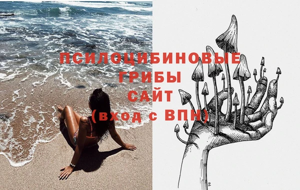 метамфетамин Белокуриха