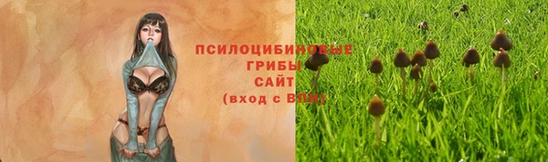 марки lsd Богданович