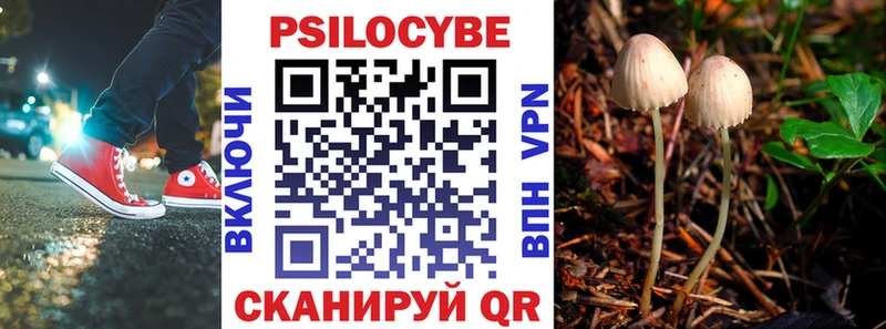 Псилоцибиновые грибы Cubensis  Горняк 